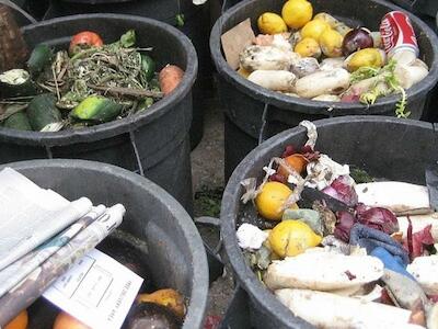 Se desperdician casi 1.000 millones de toneladas de alimentos al año, según un informe de la ONU