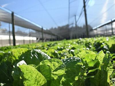 Se oficializó la creación de la Dirección Nacional de Agroecología