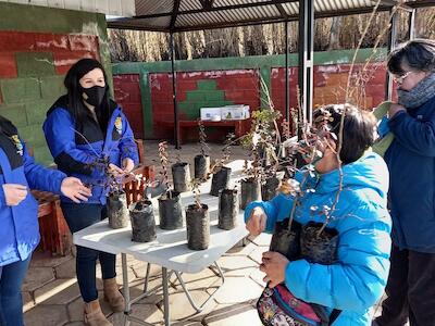 Se realizó con éxito la Primera Feria del Intercambio de Plantines y Semillas