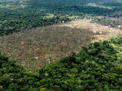 Deforestación por la producción de soya. Foto/Fundación Solón