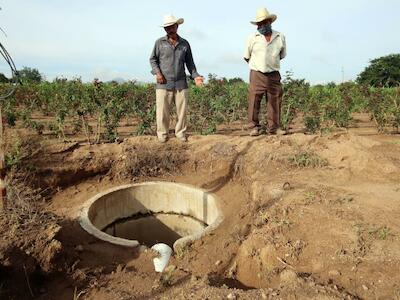 Sembradores de agua, zapotecas vencen la sequía, reviven sus campos y enfrentan la pandemia