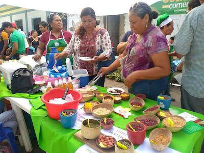 Semillas de vida, semillas para la seguridad alimentaria 