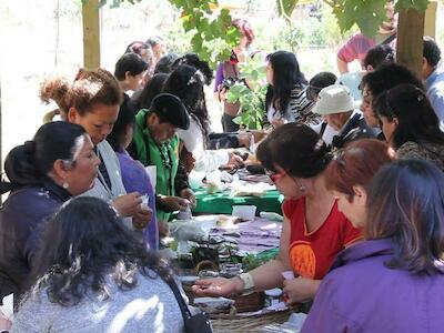 Una de las actividades de las socias de Anamuri son los encuentros de intercambio que ayudan a enriquecer sus propias semillas con cada una de las experiencias de las guardadoras, que se repiten a lo largo de Chile. Estos intercambios no son bien vistos por las grandes productoras de semillas transgénicas y tampoco han tenido suficiente respaldo de las autoridades agrícolas. Foto: Anamuri