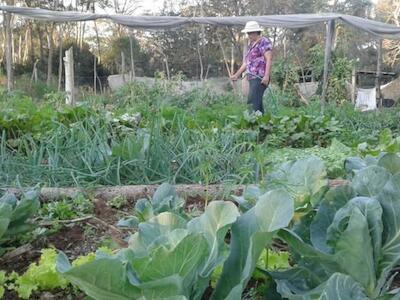 Seminario Internacional reunirá a referentes de la temática de soberanía alimentaria