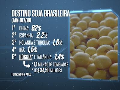 Soja: Rússia detecta glifosato acima do tolerado e pede explicação ao Brasil