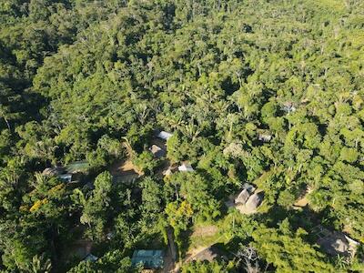 Territorio del Pueblo Sarayaku sigue siendo una bomba de tiempo