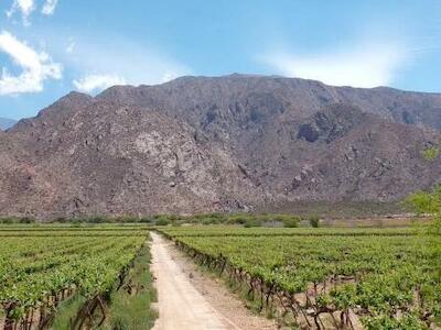 Tierras rurales: La derogación de la ley de protección deja al país desguarnecido frente a una amenaza de acaparamiento advertida mundialmente