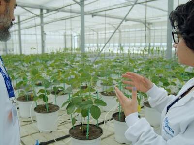 Todos los pasos que está dando Syngenta a nivel global para pisar fuerte en el creciente mercado de biológicos