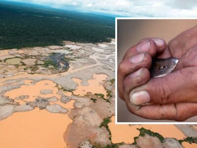 Toneladas de mercurio de México alimentan a la minería ilegal en Bolivia, Colombia y Perú