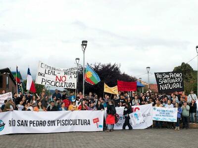 Triunfo ciudadano y de la comunidad Mapuche en la defensa del río Wazalafken: justicia suspende proyecto de empresa salmonera japonesa