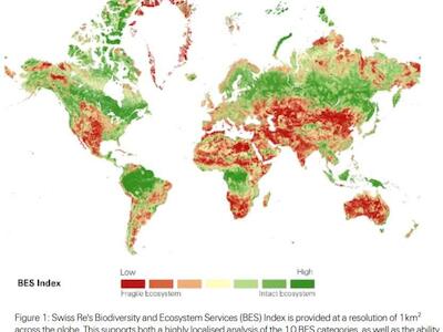 Um quinto dos países correm risco de colapso ecossistêmico