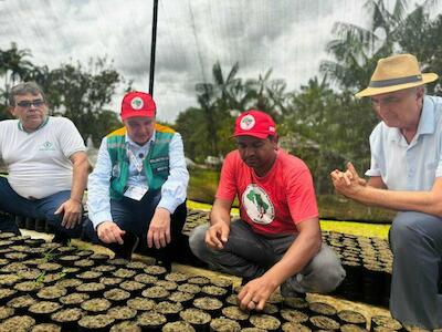 El vivero colectivo del asentamiento tiene capacidad para producir hasta 100.000 plantones al año | Crédito: Mariana Castro/Brasil de Fato