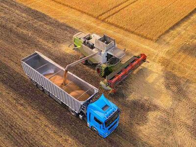 Un modelo de especulación financiera a pedir de las agroexportadoras y grandes productores