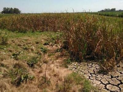 Un nuevo límite planetario transpuesto: el límite del agua dulce supera los límites de seguridad