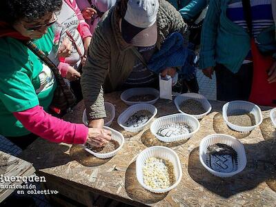 Una nueva Ley de Semillas cocinada a espalda de todxs