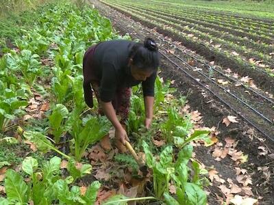  "Vamos a trabajar para que ningún productor más deje la tierra"