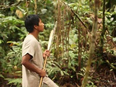 Ventas de parcelas ilegales de la selva amazónica se realizan a través de Facebook Marketplace