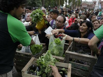 Verdurazo del campo que no para