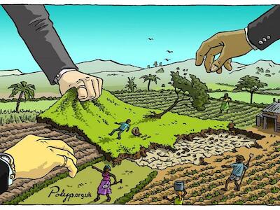 Voces desde el campo