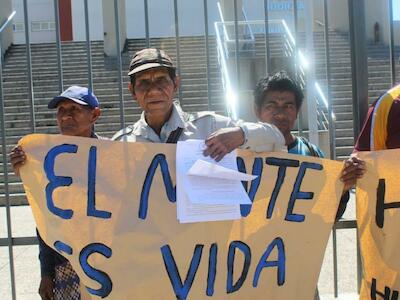 Wichis presentaron una demanda en defensa del monte 