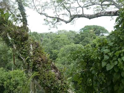 La integridad del Yasuní es vital para los pueblos en aislamiento voluntario y para la humanidad (© Peter Prokosch © GRID-Arendal/CCBY-NC-SA 2.0)