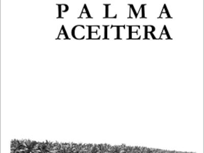 12_respuestas_palma