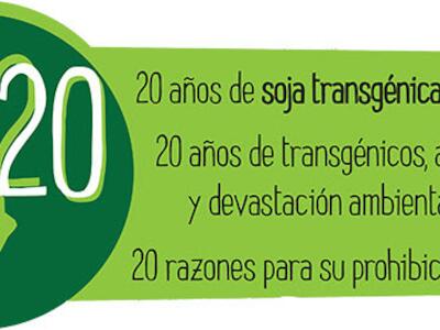 20 años de Soja