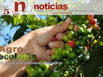 20_banneragroecona