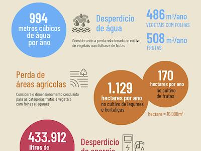 26_09_infografico_desperdicio_de_alimentos_foto_jornal_da_usp