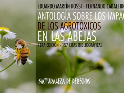 abejas