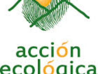 accion