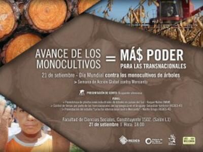 Afiche-Actividad-Monocultivos-1-300x212