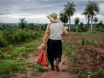 agricultor-646x366