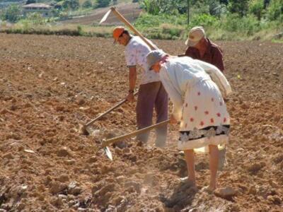 Agricultores-391x293