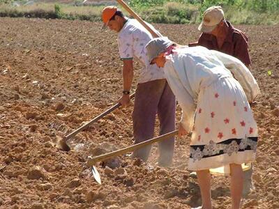 agricultores