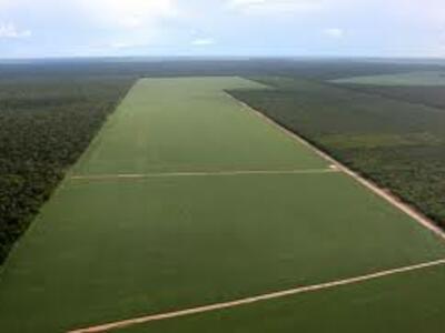 agricultura-industrial_veoverdecom