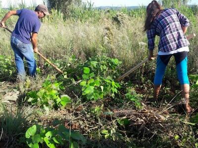 AGRICULTURA CAMPESINA