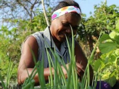 Agroecología