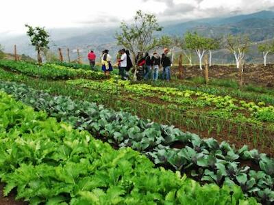 agroecología