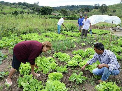 agroecologia