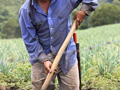 agroecología