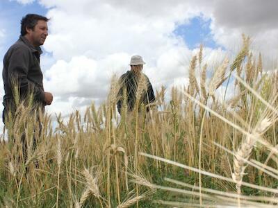 Agroecología 1