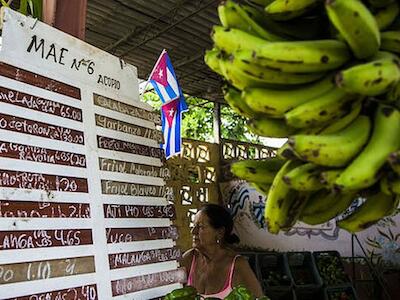 agroecología en cuba