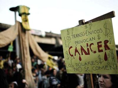 Agrotoxicos