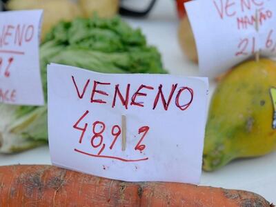 agrotóxicos en verduras - Brasil