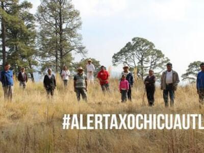 alerta