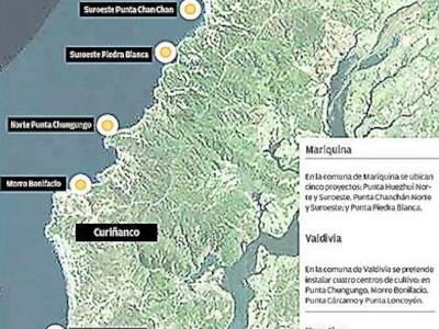 Alerta en Valdivia por llegada masiva de salmoneras a toda la zona costera