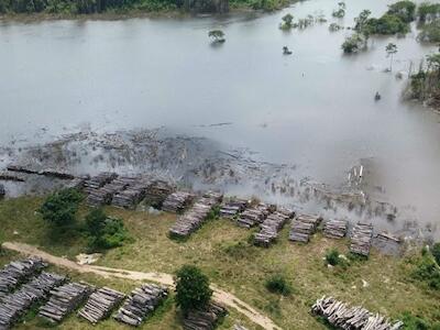 amazonas