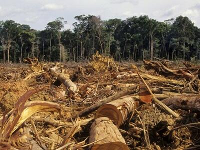 amazonas_para_la_vida