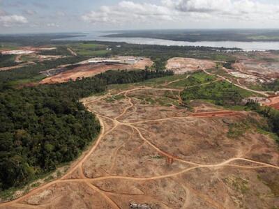 amazonia